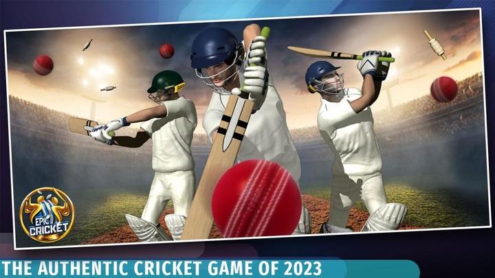 Epic Cricket Screenshot1