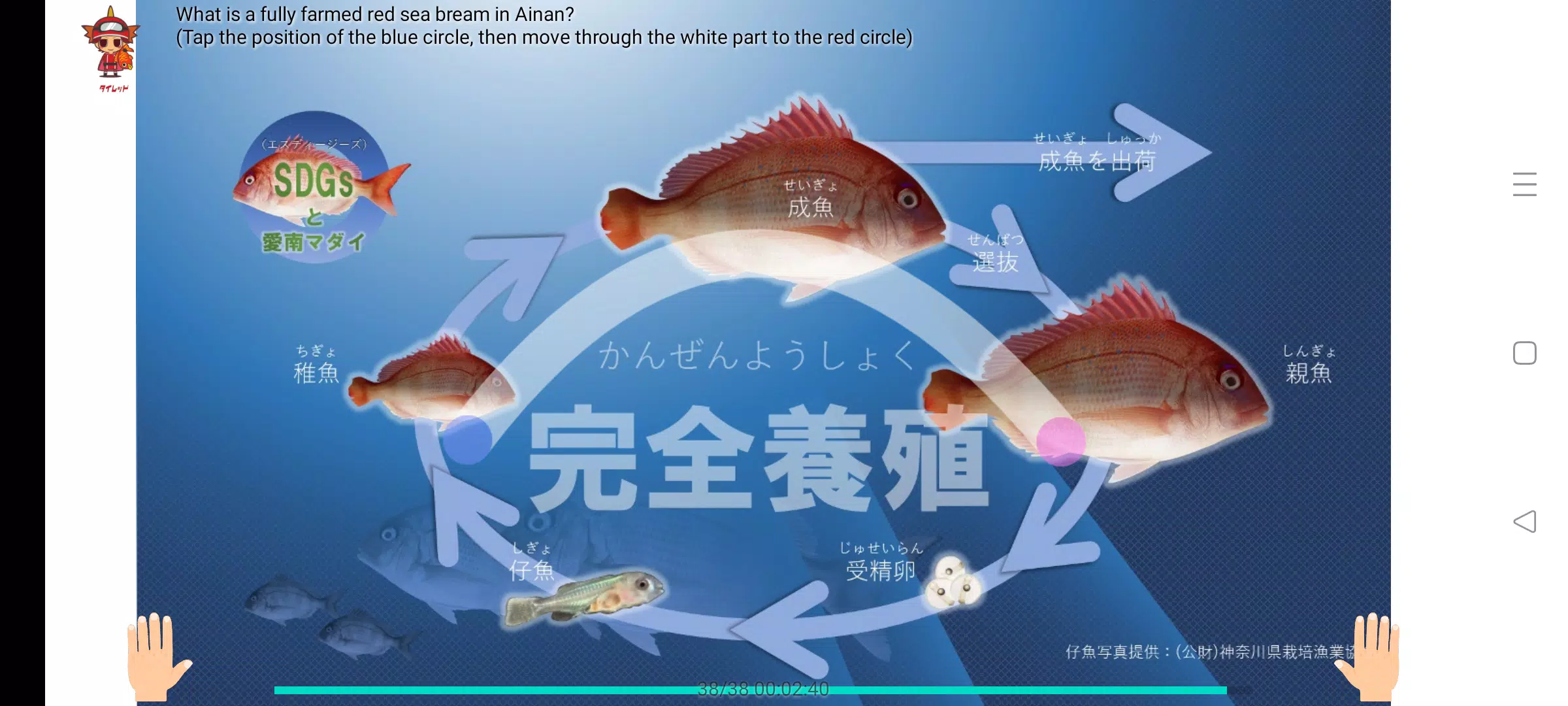 Fillet the red sea bream Screenshot3