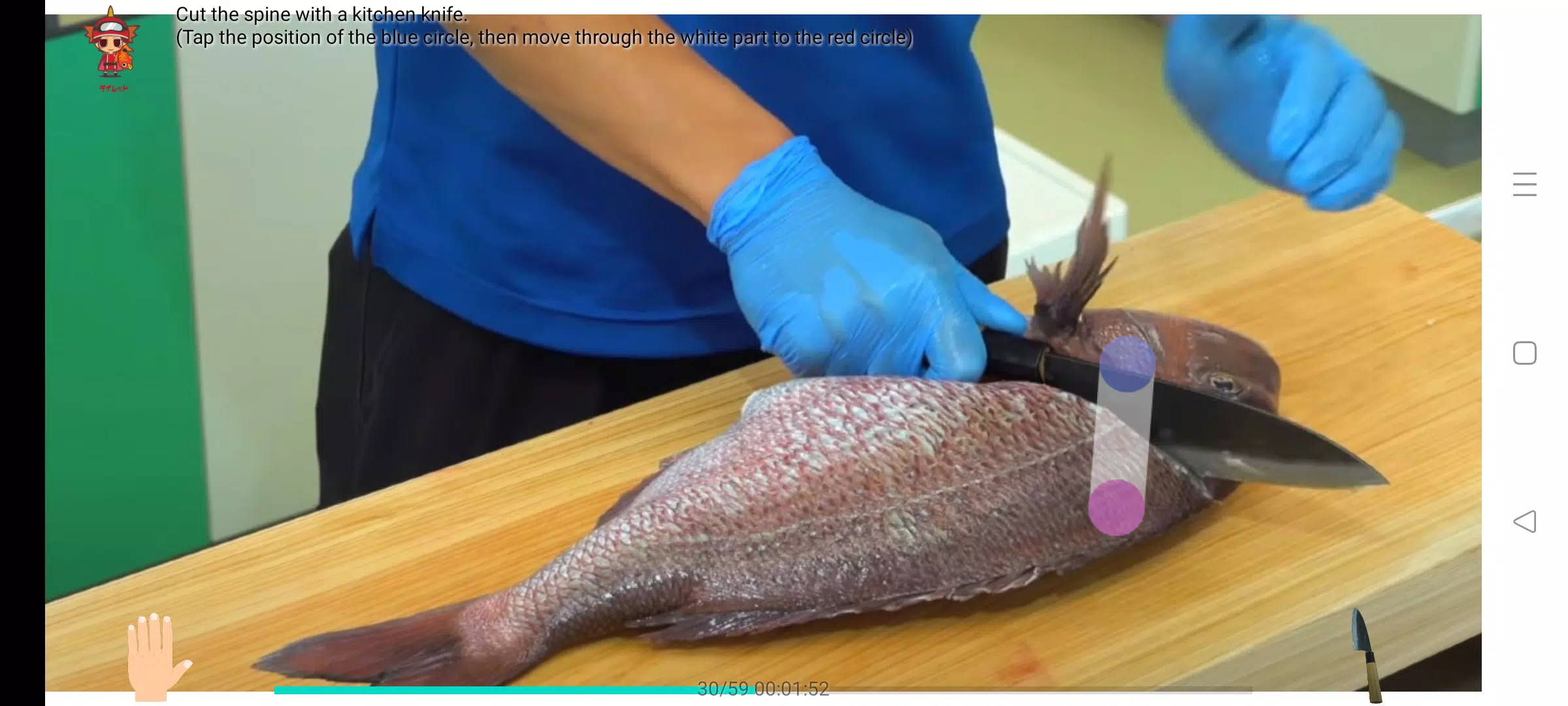Fillet the red sea bream Screenshot1