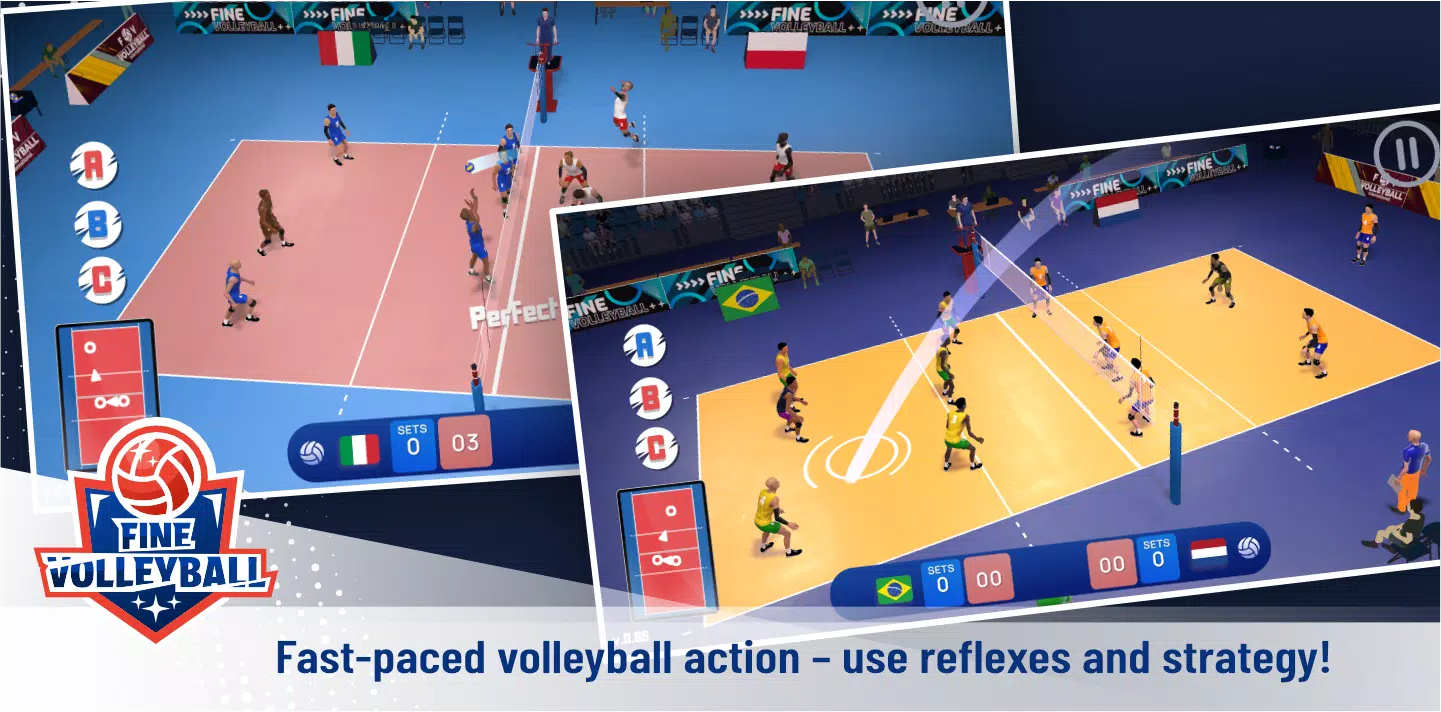 Fine Volleyball Screenshot1