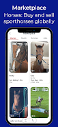 Horse-X Screenshot3