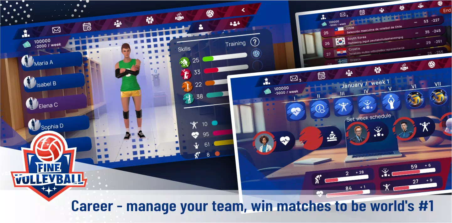 Fine Volleyball Screenshot3