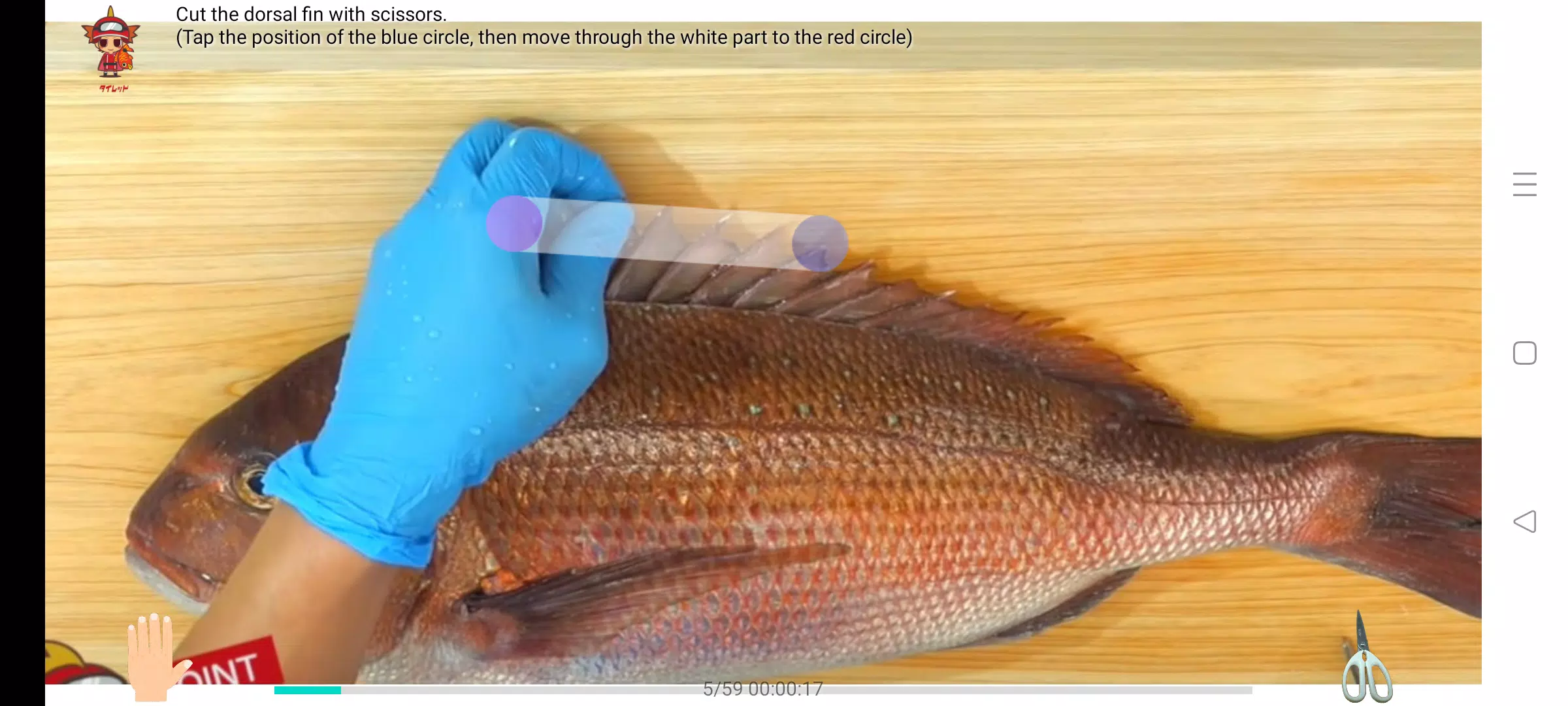Fillet the red sea bream Screenshot8