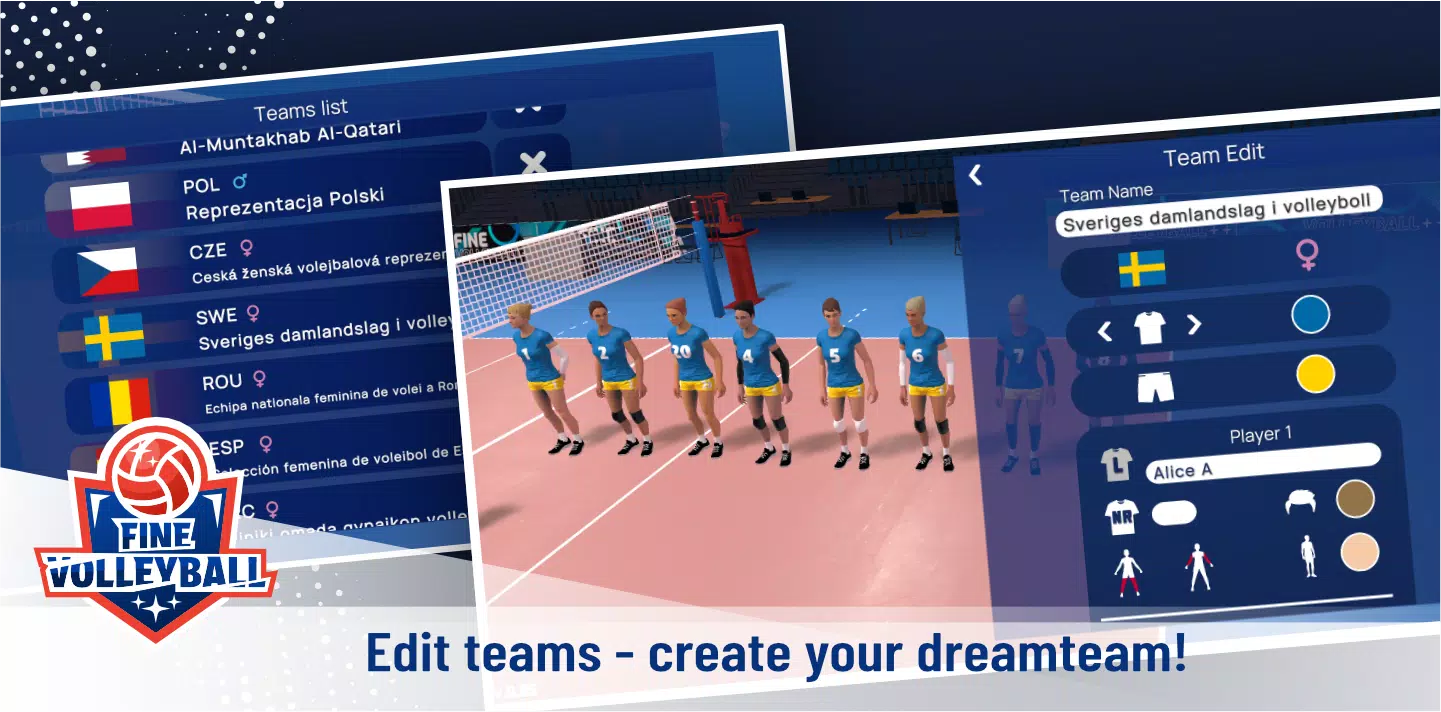 Fine Volleyball Screenshot4