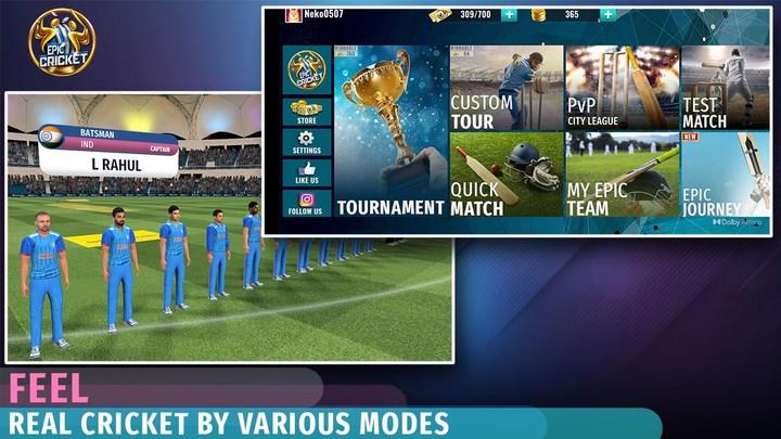 Epic Cricket Screenshot4