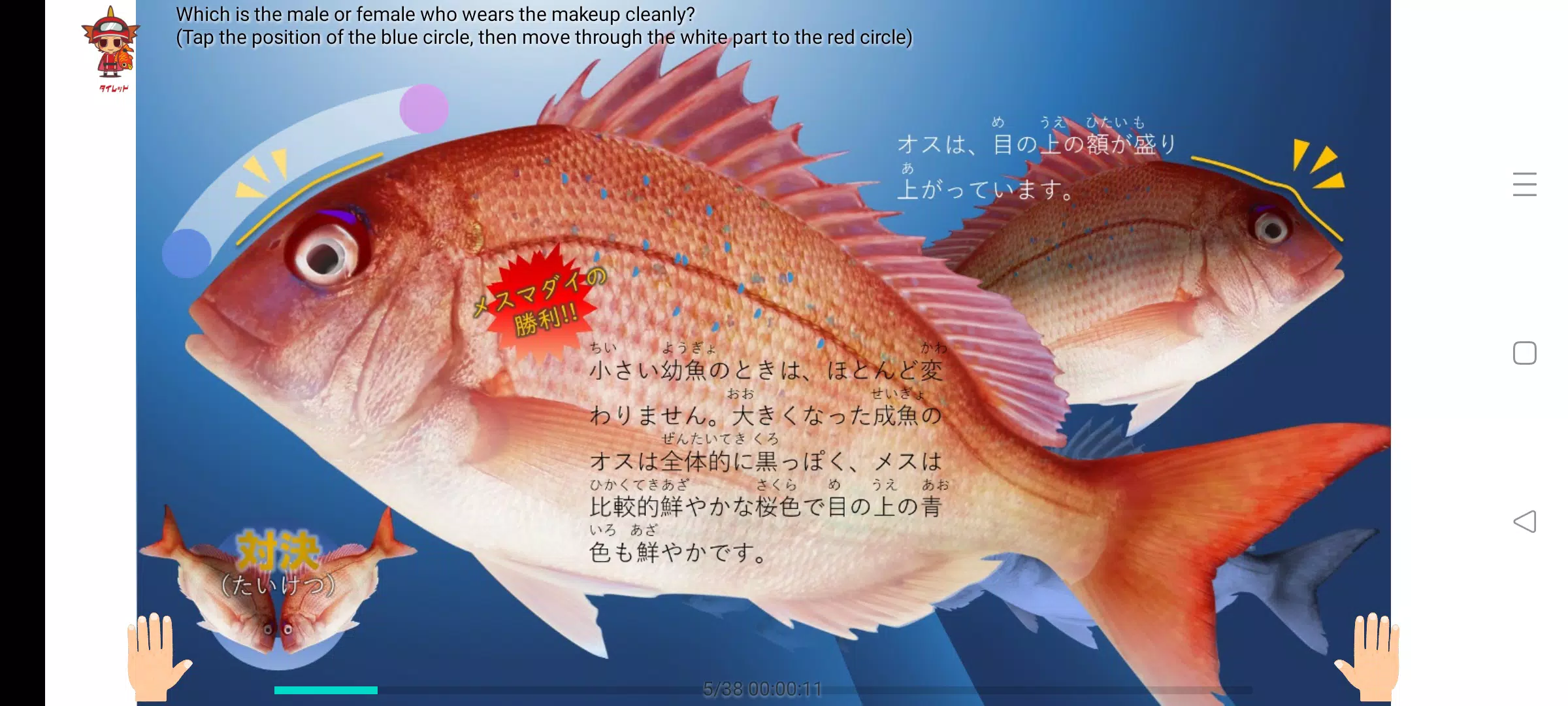 Fillet the red sea bream Screenshot2