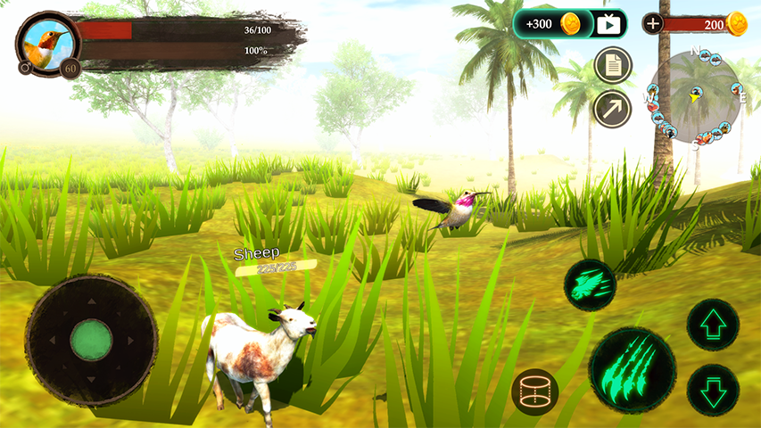 The Hummingbird Screenshot1