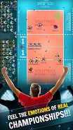Volleyball Championship Screenshot2