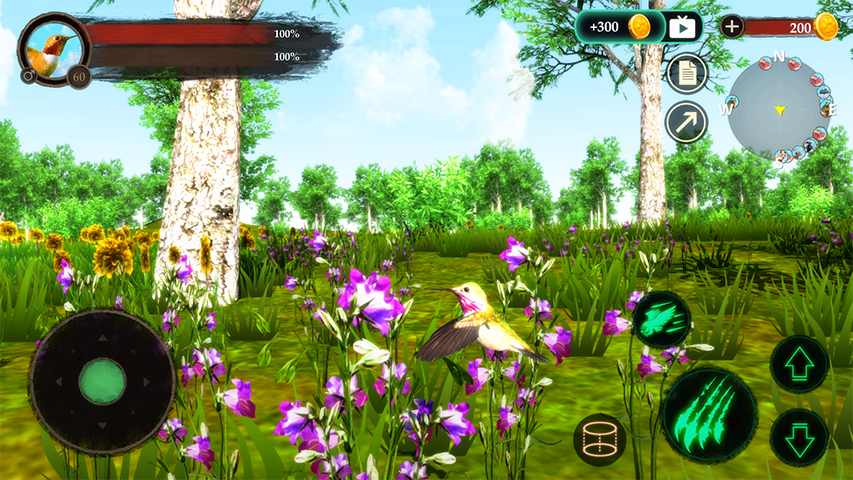 The Hummingbird Screenshot2