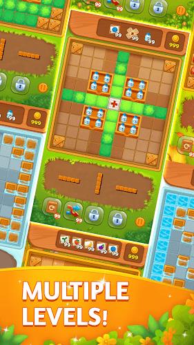 BOOM STORY - Block Puzzle Screenshot3