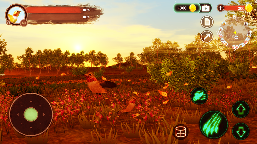 The Hummingbird Screenshot3