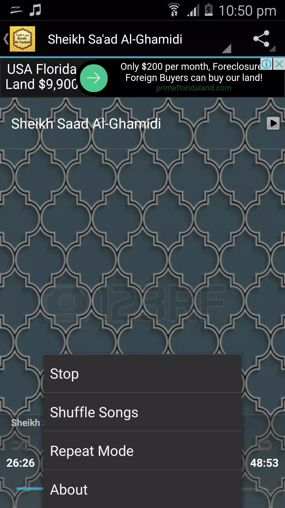 Surah At-Taubah mp3 Screenshot7
