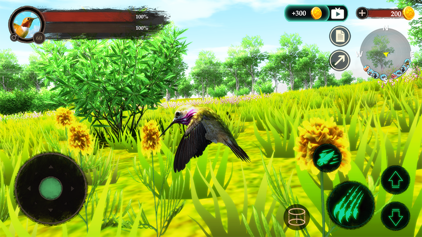 The Hummingbird Screenshot4