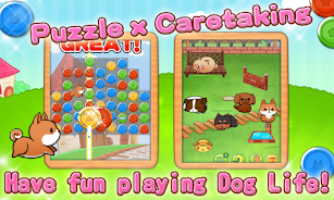 Cute Dog's Life Screenshot14
