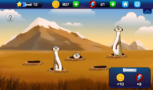 Absolute Bingo Screenshot5