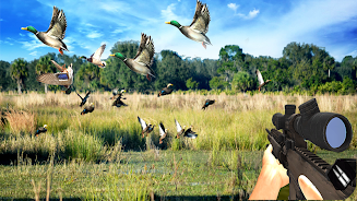 Duck Hunting Challenge Screenshot2