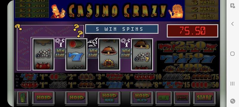 CASINOCRAZY Club Fruit Machine Screenshot5