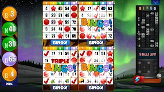 Absolute Bingo Screenshot3