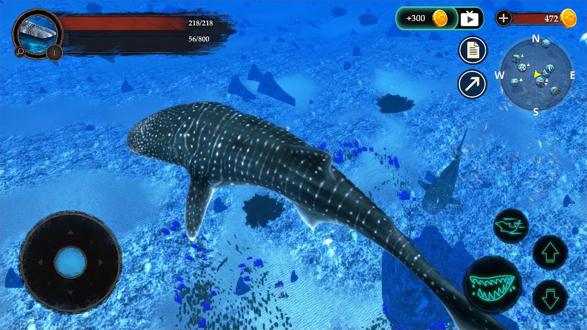The Whale Shark Screenshot7