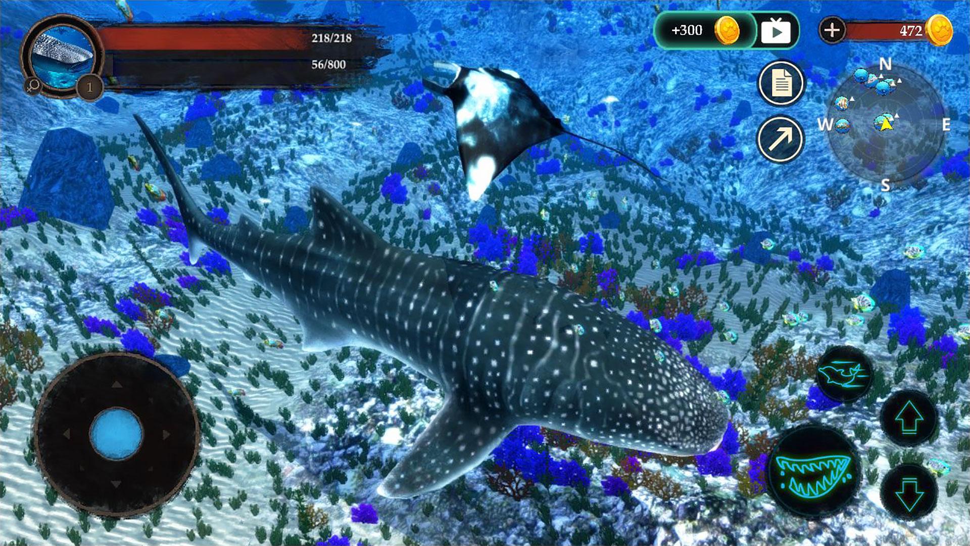 The Whale Shark Screenshot3
