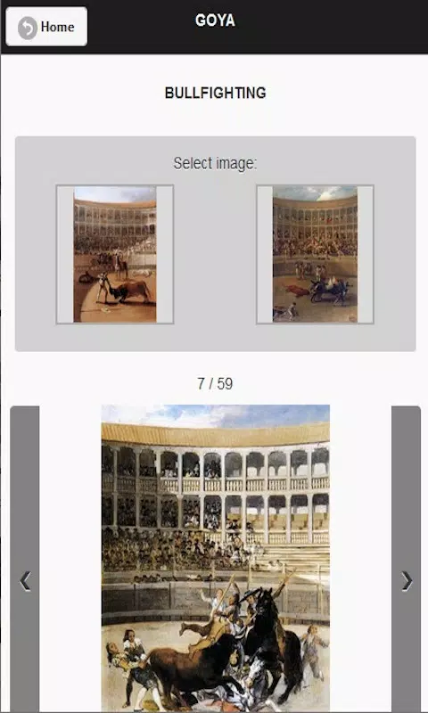 Goya Screenshot8