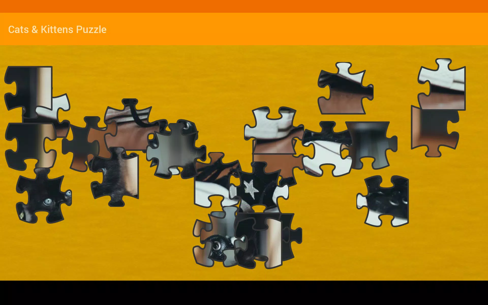 Cats & Kitten Puzzle Screenshot6