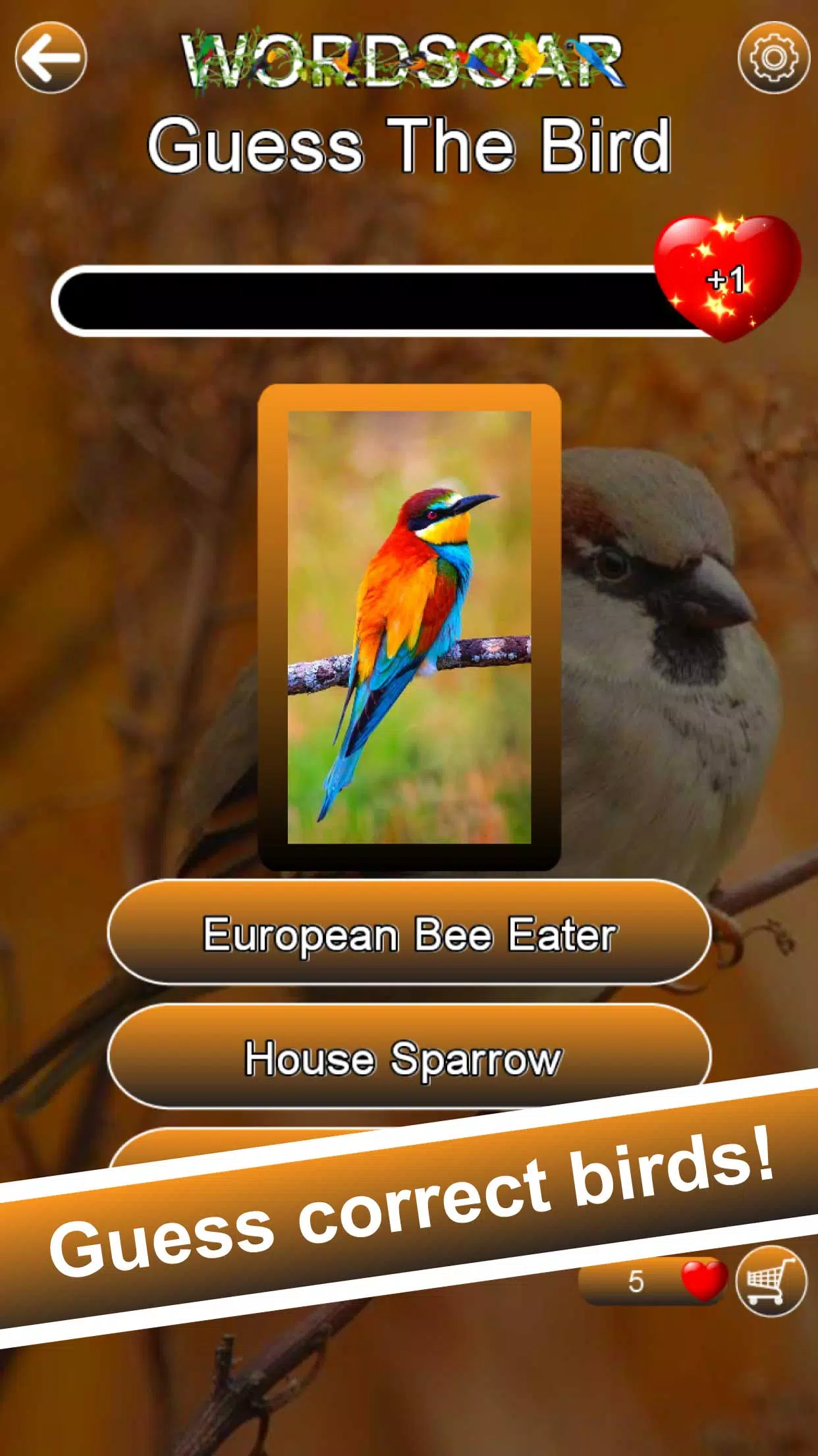 Word Soar Screenshot5