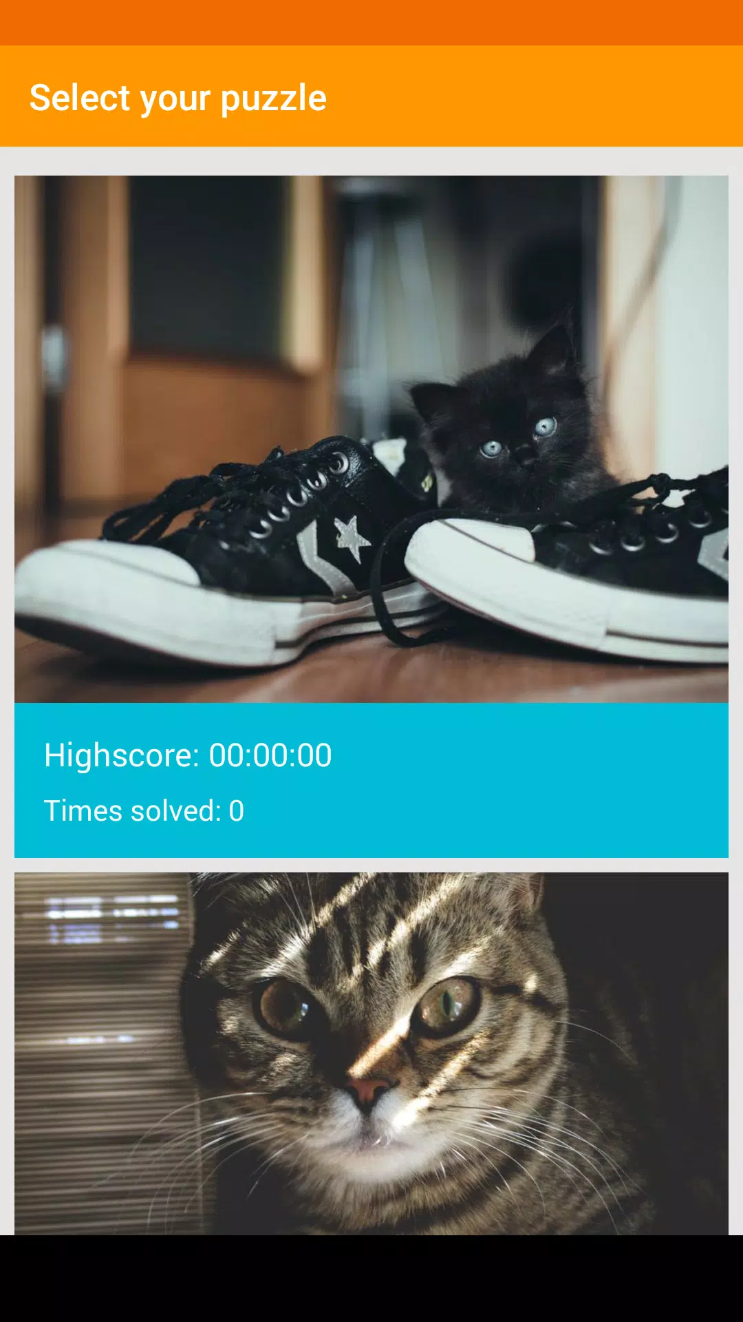 Cats & Kitten Puzzle Screenshot3