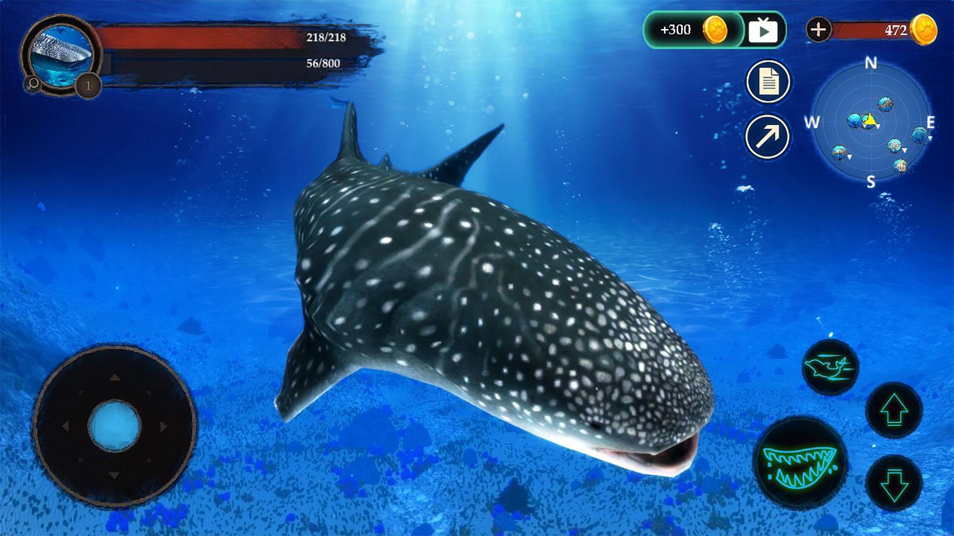 The Whale Shark Screenshot4