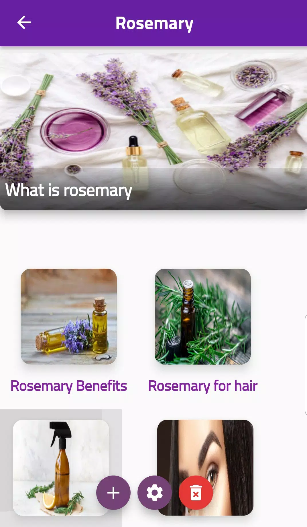 Rosemary Screenshot1