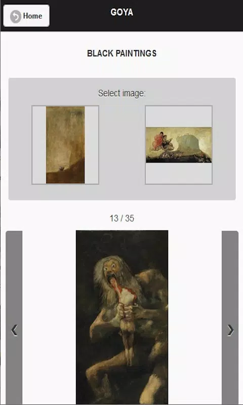 Goya Screenshot6