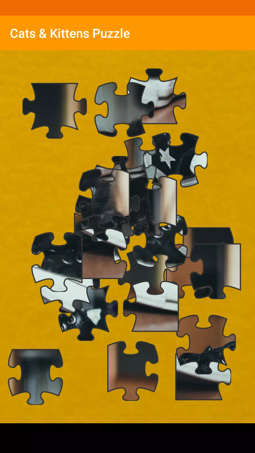 Cats & Kitten Puzzle Screenshot2