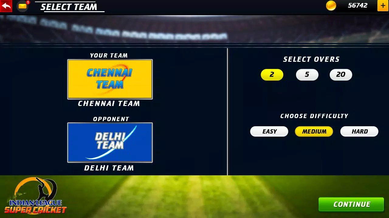 Indian Premier :Cricket Games Screenshot7