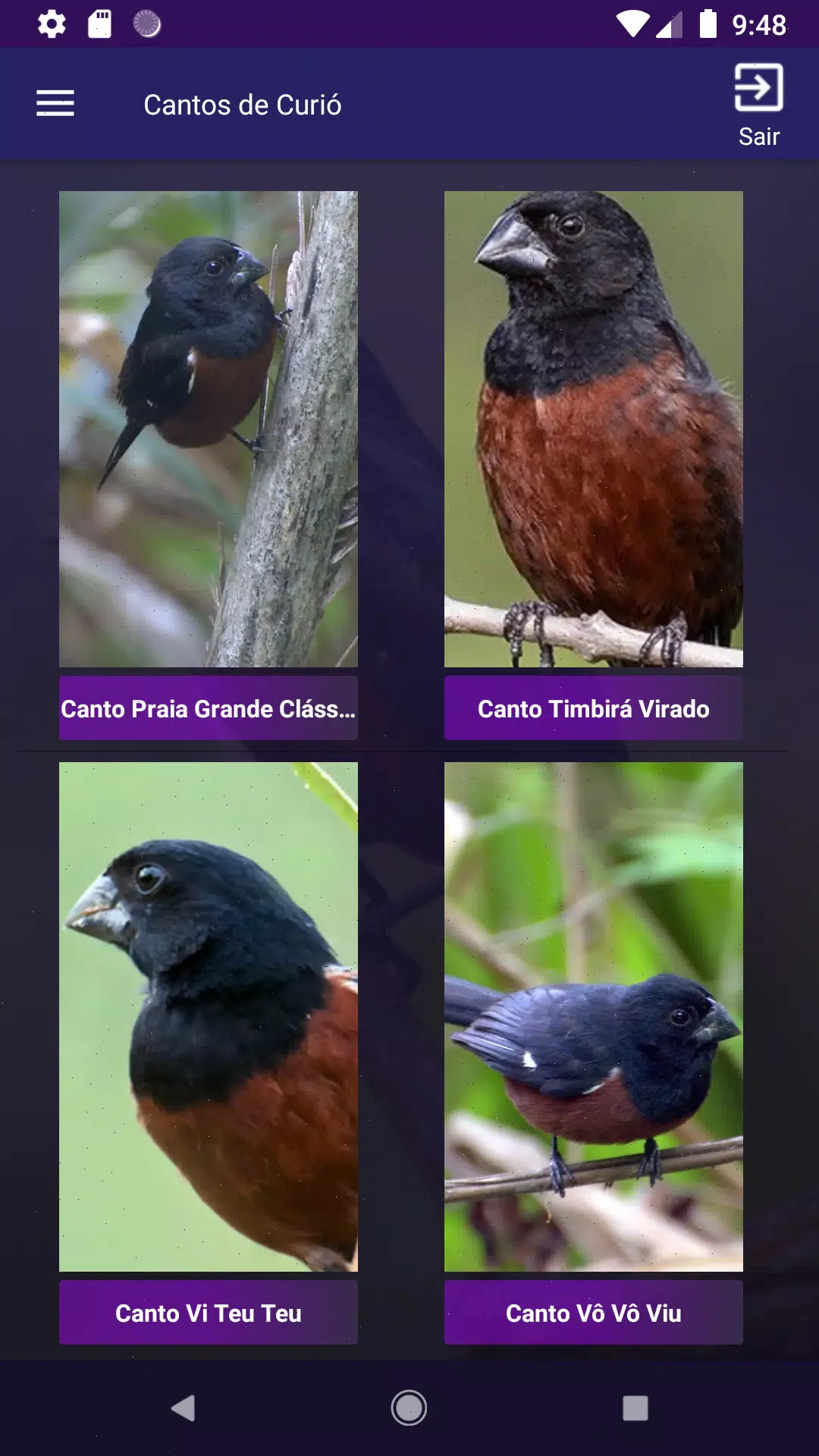 Cantos de Curió Screenshot3