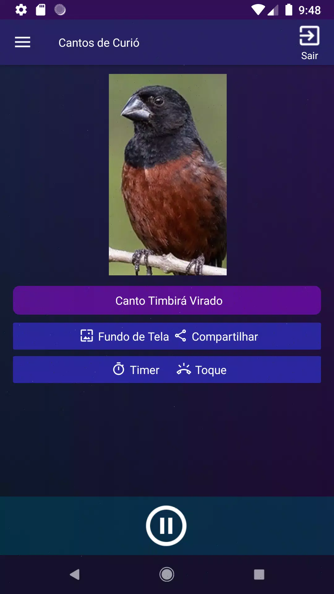 Cantos de Curió Screenshot8