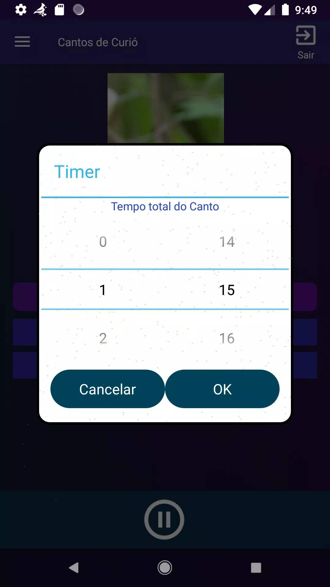 Cantos de Curió Screenshot4