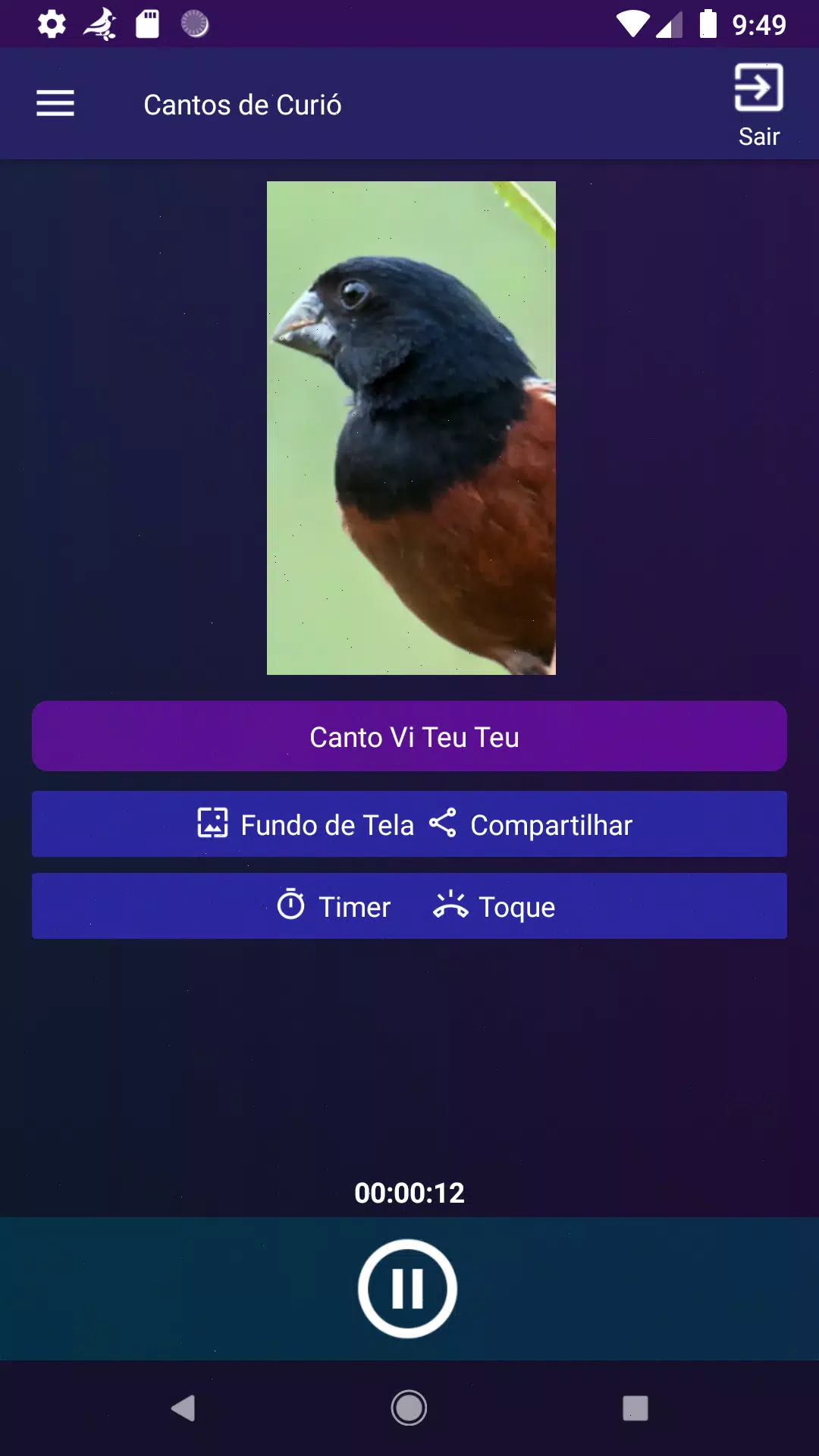 Cantos de Curió Screenshot5