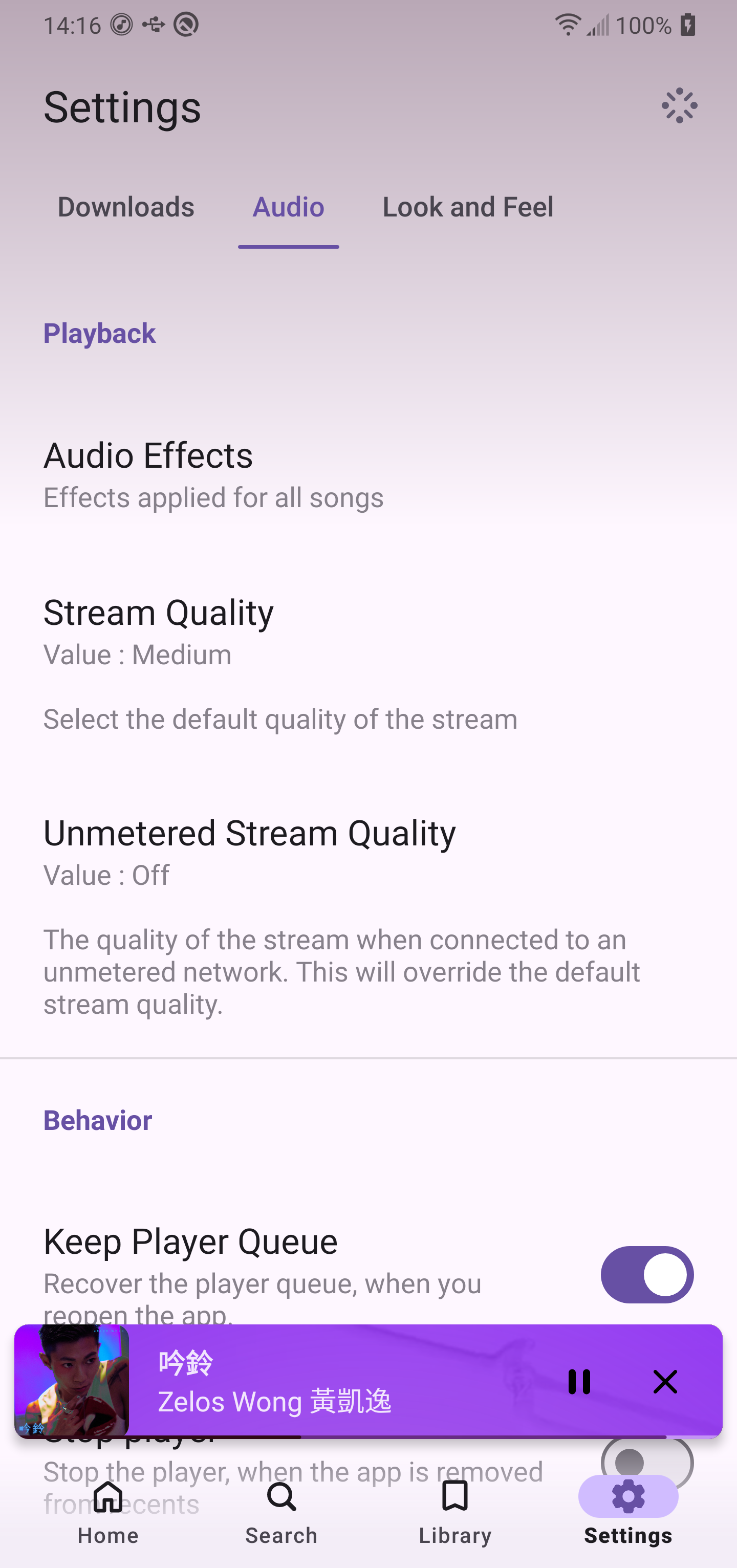 Echo Music Screenshot4