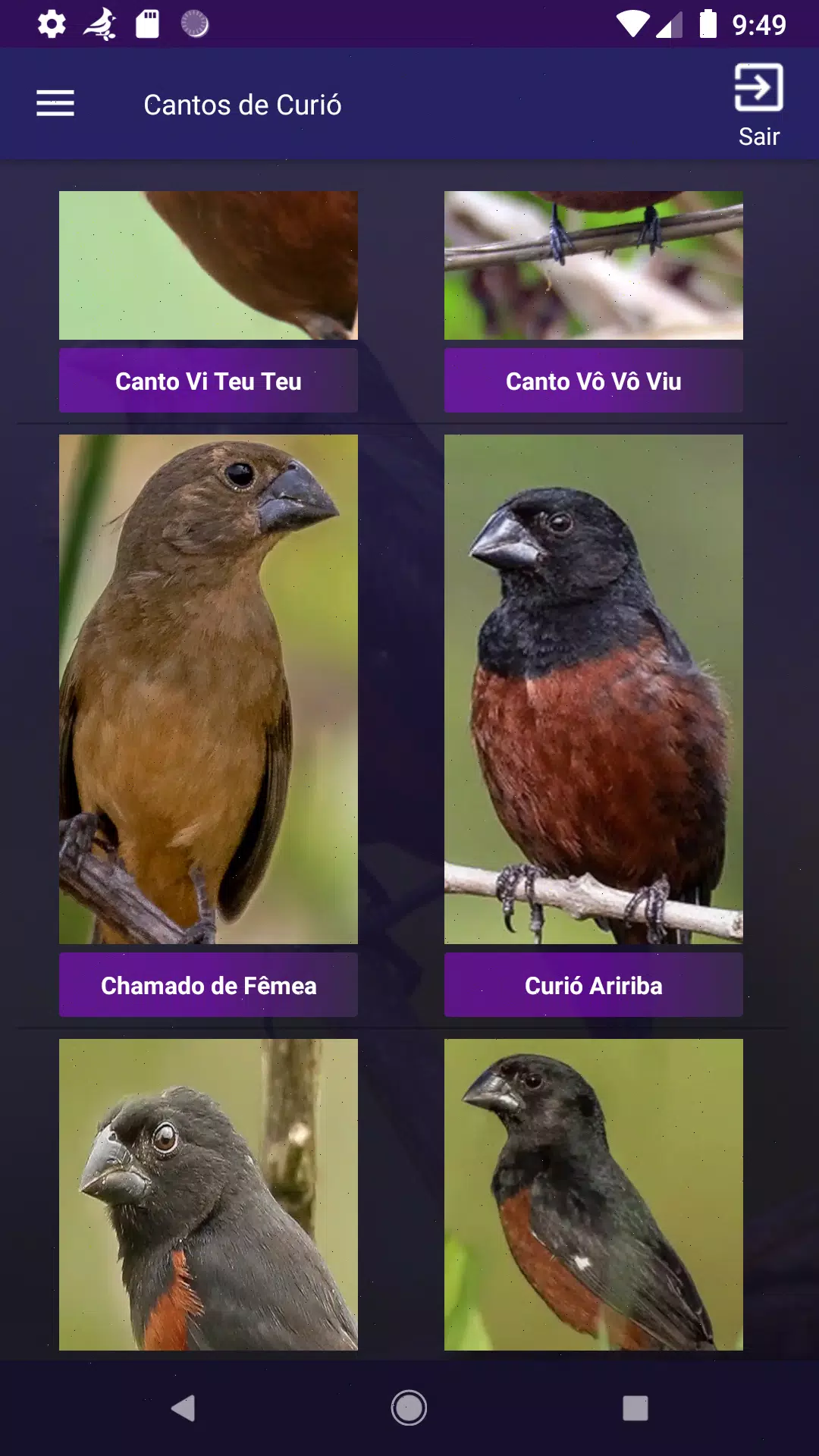 Cantos de Curió Screenshot6