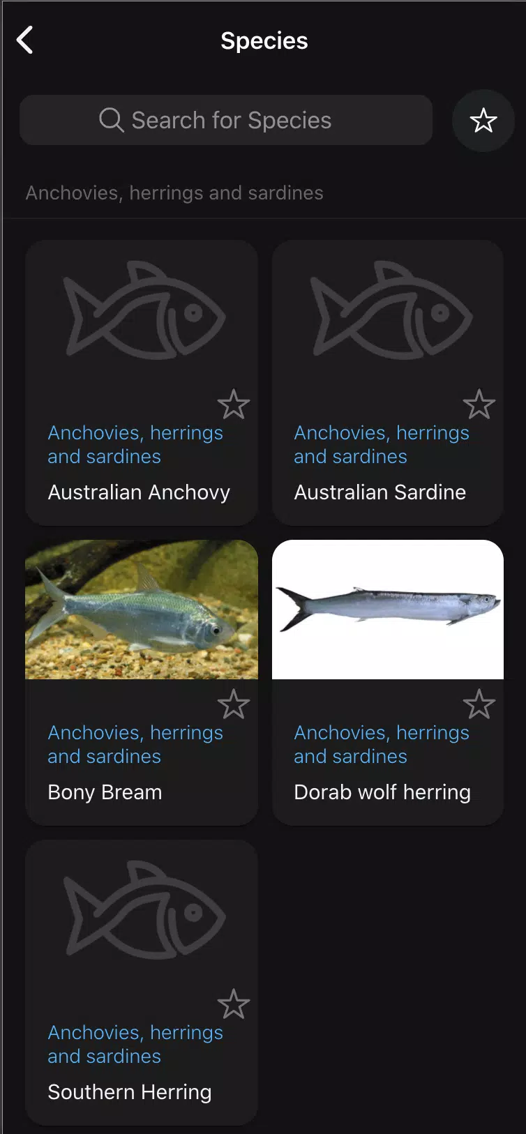 QLD Fishing 2.0 Screenshot4