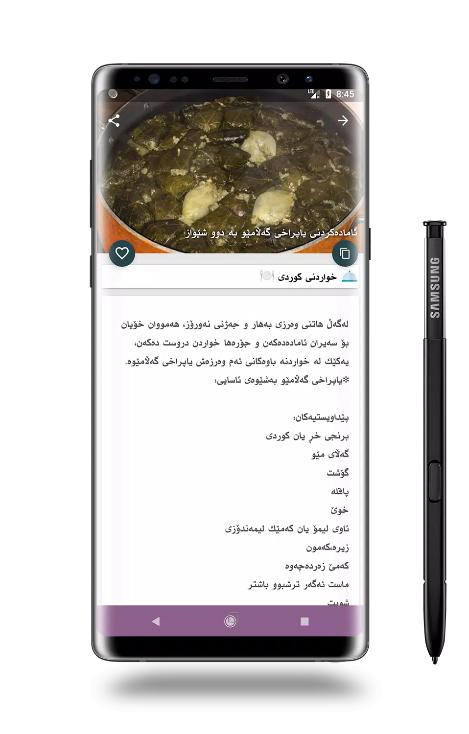 فود زۆن چێشتخانە Screenshot8