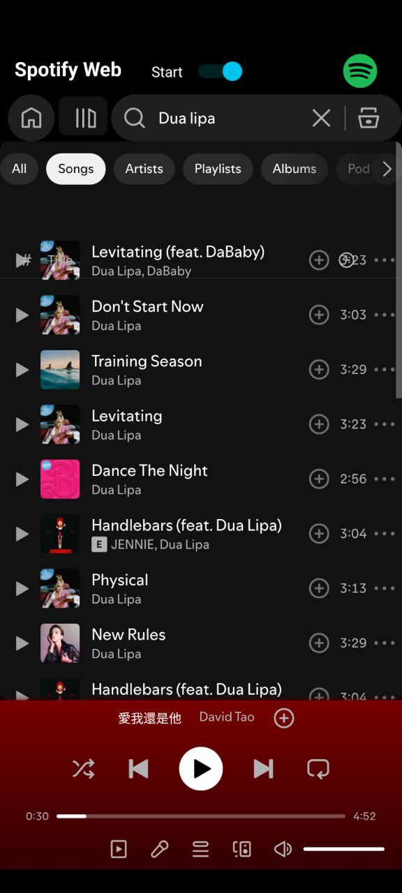 Spotify Web Screenshot4