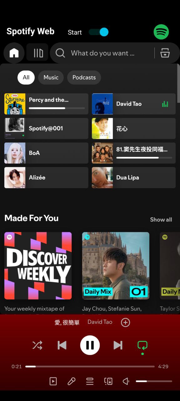 Spotify Web Screenshot3