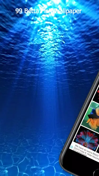 99 Betta Fish Wallpaper Screenshot2