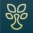 Finlit.uz APK