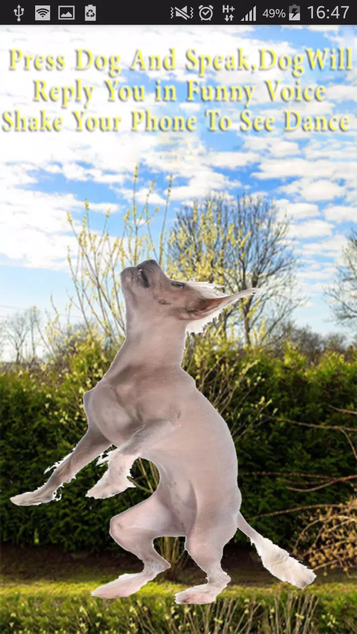 Talking-Dancing Dog Screenshot5