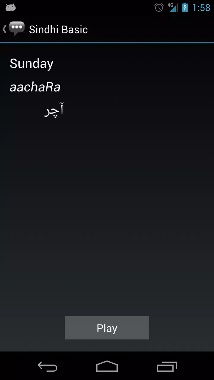Sindhi Basic Phrases Screenshot3