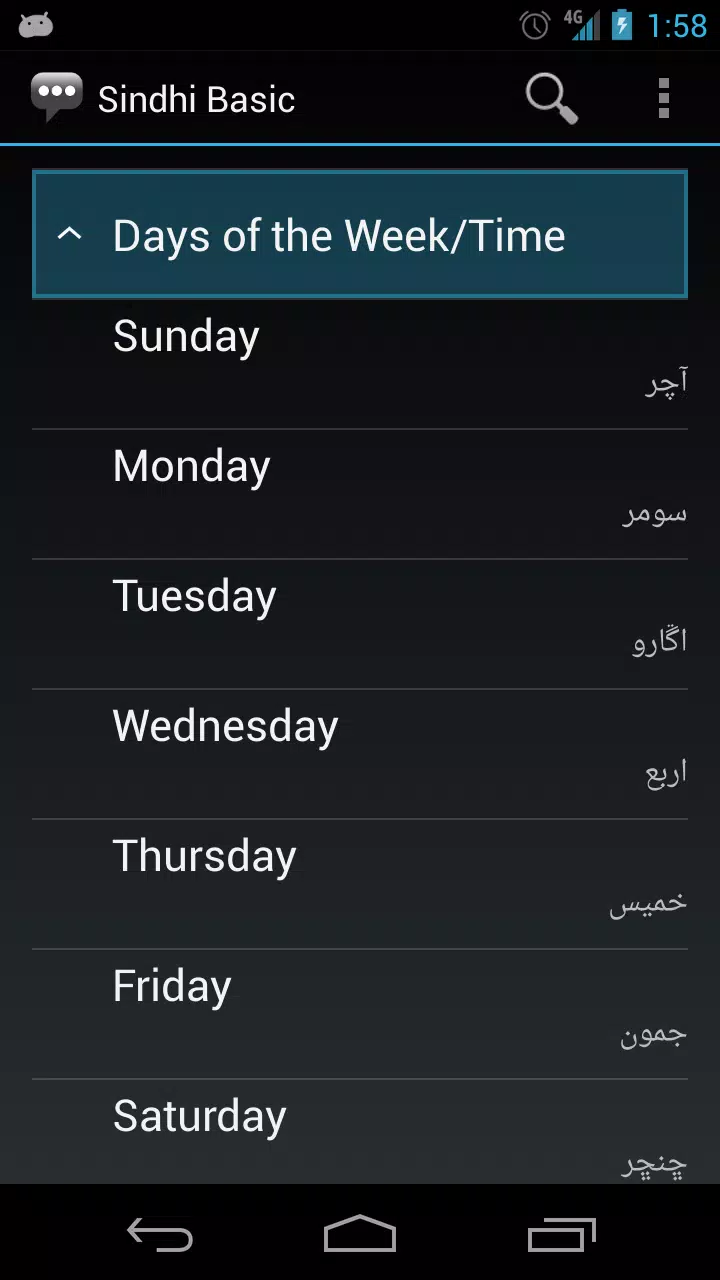 Sindhi Basic Phrases Screenshot2