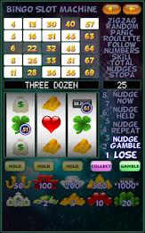 Bingo Slot Machine. Screenshot9