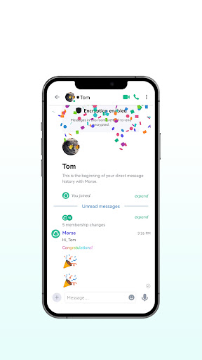 MORSE Screenshot2